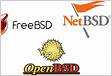 FreeBSD, NetBSD e OpenBSD o que são e característica